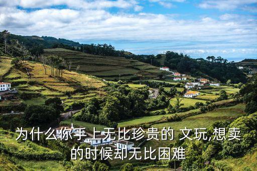 為什么你手上無(wú)比珍貴的 文玩,想賣(mài)的時(shí)候卻無(wú)比困難