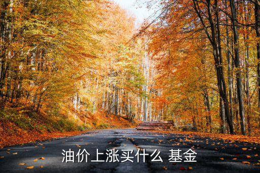油價(jià)上漲買(mǎi)什么 基金