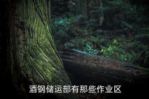  酒鋼儲運部有那些作業(yè)區(qū)