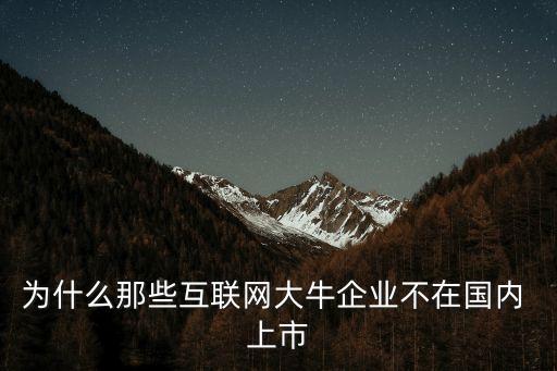 為什么那些互聯(lián)網(wǎng)大牛企業(yè)不在國內 上市
