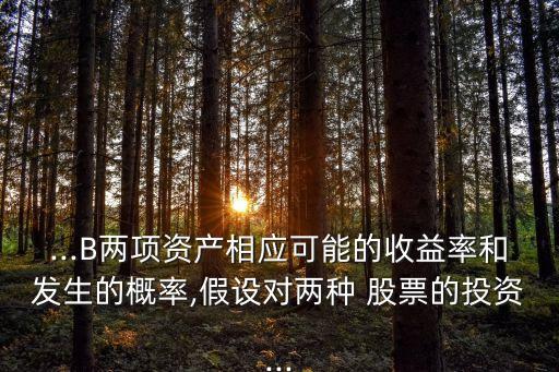 ...B兩項(xiàng)資產(chǎn)相應(yīng)可能的收益率和發(fā)生的概率,假設(shè)對(duì)兩種 股票的投資...