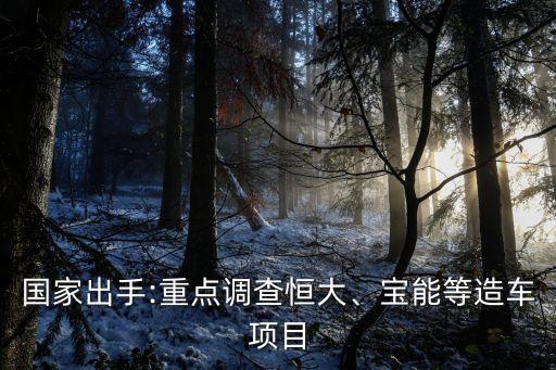 鐵嶺投資新能源汽車(chē),新能源汽車(chē)4s店投資多少錢(qián)