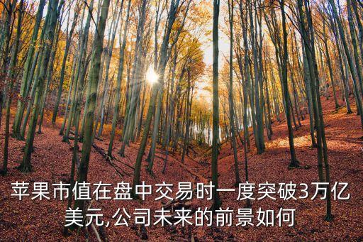 蘋果市值在盤中交易時(shí)一度突破3萬億美元,公司未來的前景如何