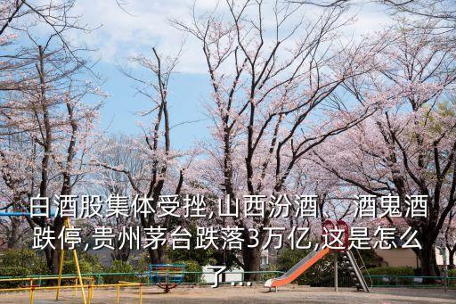 白酒股集體受挫,山西汾酒、 酒鬼酒跌停,貴州茅臺跌落3萬億,這是怎么了...