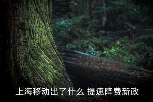上海提速,上海聯通寬帶提速
