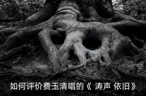 如何評價費玉清唱的《 濤聲 依舊》