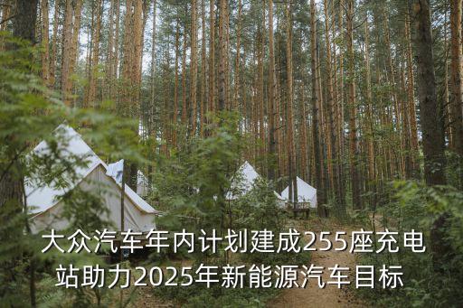  大眾汽車年內(nèi)計劃建成255座充電站助力2025年新能源汽車目標(biāo)