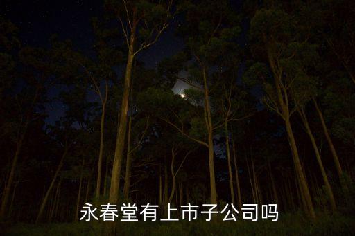 永春堂股票
