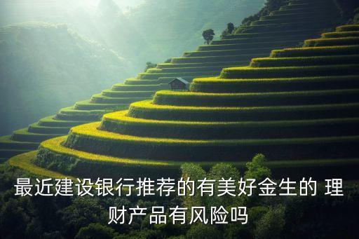 最近建設(shè)銀行推薦的有美好金生的 理財(cái)產(chǎn)品有風(fēng)險嗎