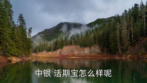 中國(guó)銀行活期寶保本嗎
