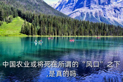 中國農業(yè)或將死在所謂的“風口”之下,是真的嗎