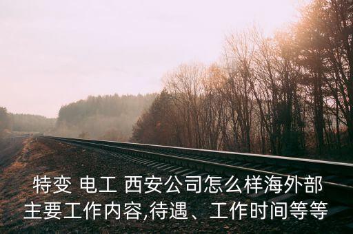  特變 電工 西安公司怎么樣海外部主要工作內(nèi)容,待遇、工作時(shí)間等等