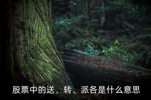  股票中的送、轉(zhuǎn)、派各是什么意思