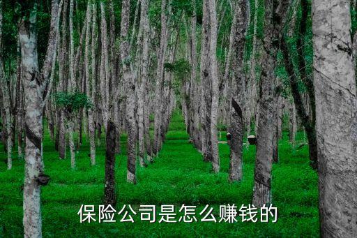 中國人壽保險(xiǎn)業(yè)經(jīng)驗(yàn)生命表基數(shù)表