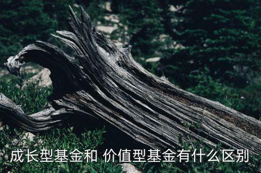 成長(zhǎng)性?xún)r(jià)值投資