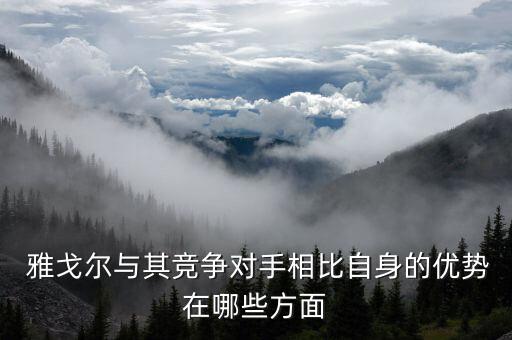  雅戈?duì)柵c其競爭對(duì)手相比自身的優(yōu)勢(shì)在哪些方面