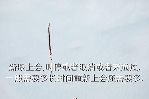 新股上會(huì),叫?；蛘呷∠蛘呶赐ㄟ^,一般需要多長(zhǎng)時(shí)間重新上會(huì)還需要多...