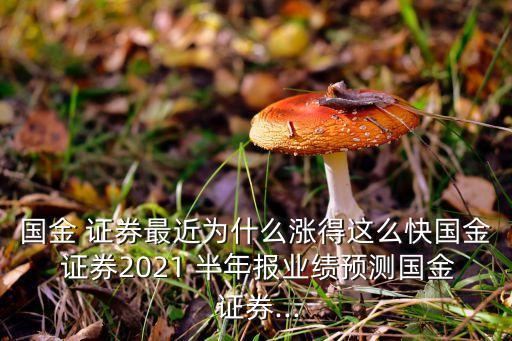 國金 證券最近為什么漲得這么快國金 證券2021 半年報(bào)業(yè)績(jī)預(yù)測(cè)國金 證券...