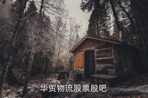 華貿(mào)物流股票股吧