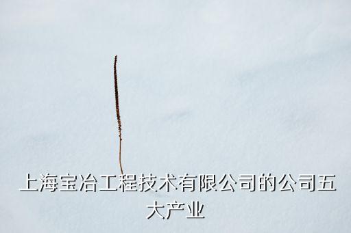  上海寶冶工程技術(shù)有限公司的公司五大產(chǎn)業(yè)