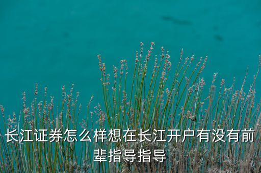中國券商獎,中國有多少家券商