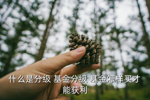 什么是分級(jí) 基金分級(jí) 基金怎樣買(mǎi)才能獲利