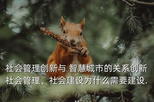 社會管理創(chuàng)新與 智慧城市的關系創(chuàng)新社會管理、社會建設為什么需要建設...