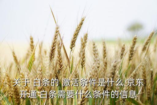 關于 白條的 激活條件是什么 京東開通 白條需要什么條件的信息