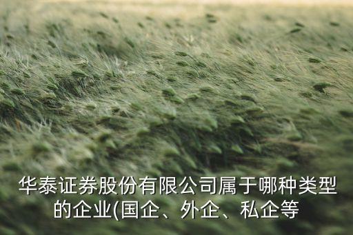 華泰證券股份有限公司屬于哪種類型的企業(yè)(國企、外企、私企等