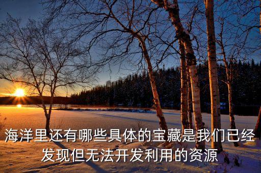 中國(guó)南?？扇急Y源量,南?？扇急鶎儆谑裁促Y源