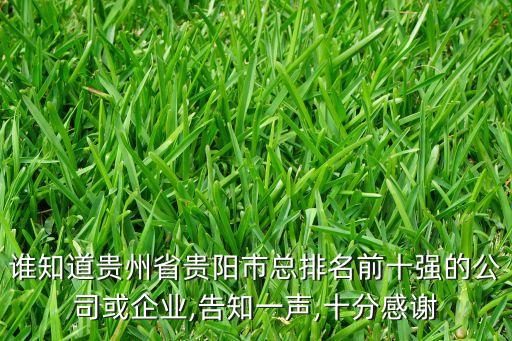 誰(shuí)知道貴州省貴陽(yáng)市總排名前十強(qiáng)的公司或企業(yè),告知一聲,十分感謝