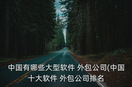 中國(guó)有哪些大型軟件 外包公司(中國(guó)十大軟件 外包公司排名