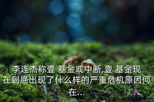 李連杰稱壹 基金或中斷,壹 基金現(xiàn)在到底出現(xiàn)了什么樣的嚴(yán)重危機(jī)原因何在...