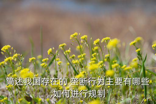 簡(jiǎn)述我國存在的 壟斷行為主要有哪些,如何進(jìn)行規(guī)制
