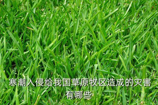  寒潮入侵給我國草原牧區(qū)造成的災害有哪些