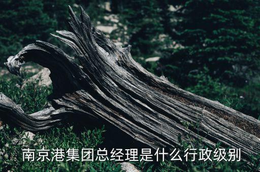  南京港集團(tuán)總經(jīng)理是什么行政級別