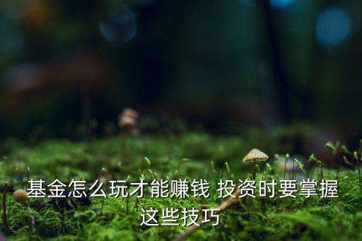  基金怎么玩才能賺錢(qián) 投資時(shí)要掌握這些技巧