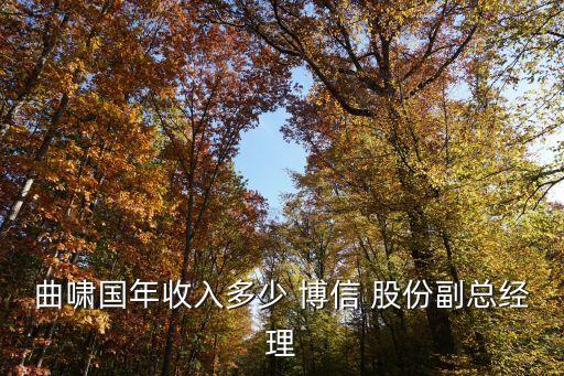 曲嘯國年收入多少 博信 股份副總經理