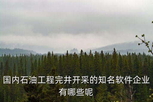 國(guó)內(nèi)石油工程完井開采的知名軟件企業(yè)有哪些呢