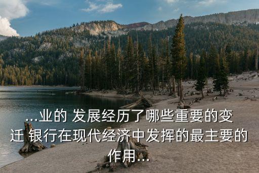 ...業(yè)的 發(fā)展經歷了哪些重要的變遷 銀行在現代經濟中發(fā)揮的最主要的作用...