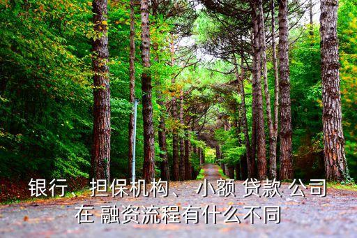 銀行、擔(dān)保機(jī)構(gòu)、 小額 貸款 公司在 融資流程有什么不同