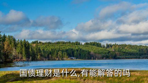  國債理財(cái)是什么,有能解答的嗎
