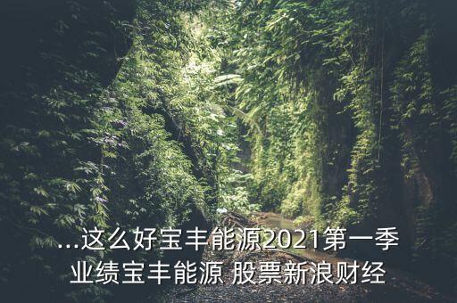 ...這么好寶豐能源2021第一季業(yè)績寶豐能源 股票新浪財經(jīng)