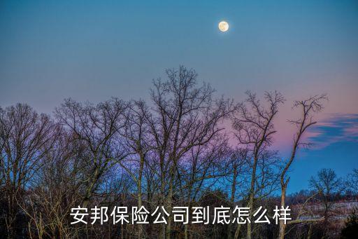 民生銀行安邦保險如何,安邦保險現(xiàn)在如何