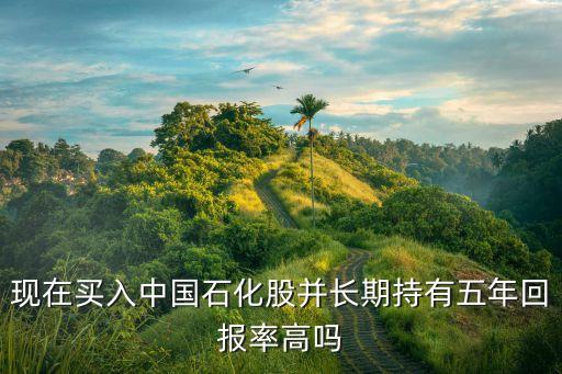 2014中國石油中報點(diǎn)評