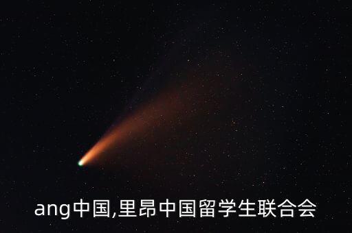 liang中國,里昂中國留學(xué)生聯(lián)合會(huì)