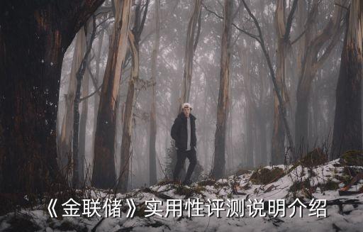 《金聯(lián)儲》實(shí)用性評測說明介紹