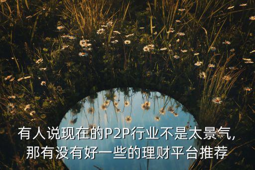 有人說(shuō)現(xiàn)在的P2P行業(yè)不是太景氣,那有沒(méi)有好一些的理財(cái)平臺(tái)推薦