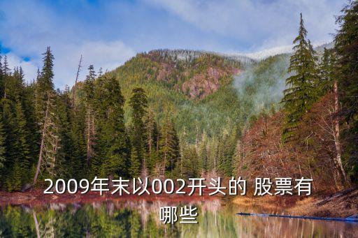 2009年末以002開(kāi)頭的 股票有哪些