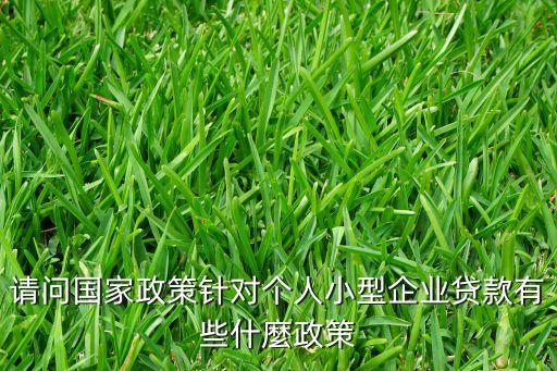 中國進出口銀行倉單質押